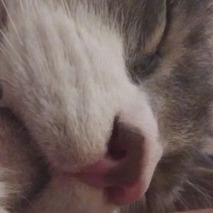 Meet your Posher, Marie